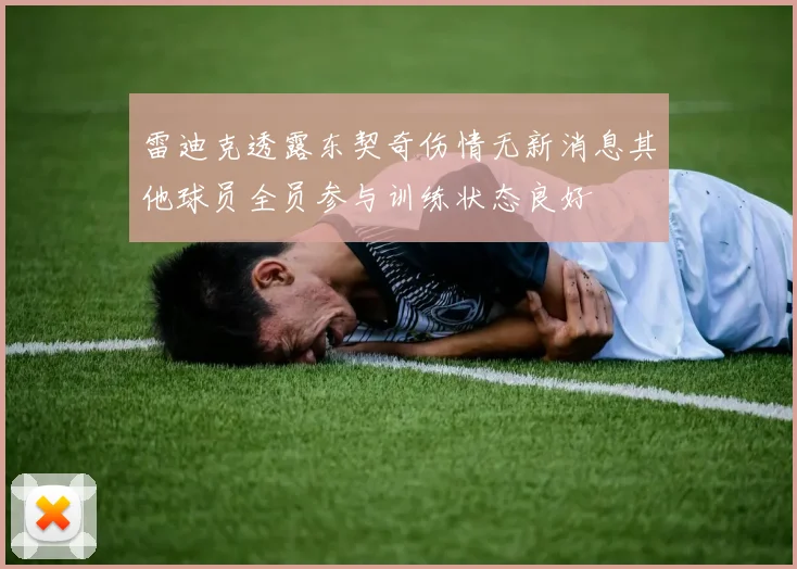 雷迪克透露东契奇伤情无新消息其他球员全员参与训练状态良好